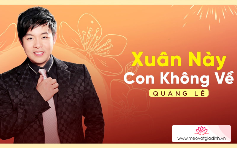 Xuân Này Con Không Về