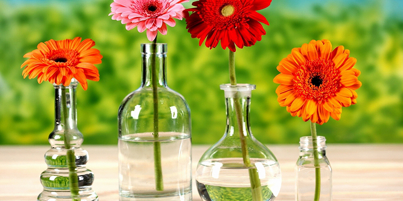 Dùng 3-4 cốc nhỏ nước súc miệng pha với lít nước để cắm hoa