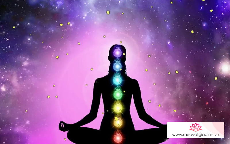 7 Chakra Balancing & Healing