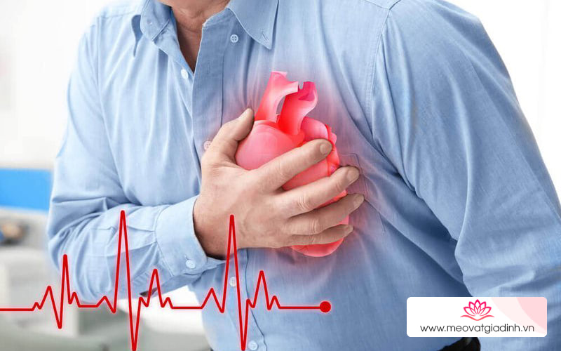 Bắp cải tím giảm nguy cơ mắc các bệnh tim mạch