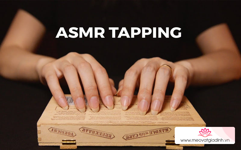 ASMR Addictive Tapping 1 Hr