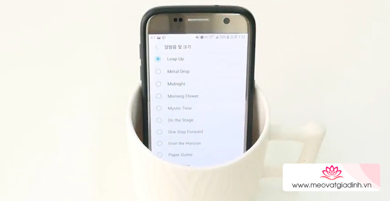 Bạn có thể dùng chiếc ly nhà bạn để làm “loa”