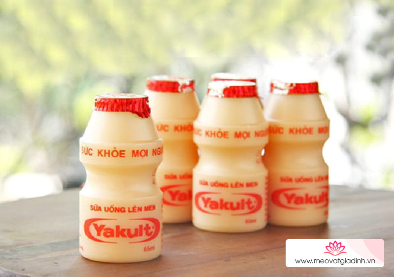 Sử dụng Yakult như thế nào là đúng?