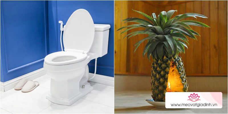 Cách khử mùi toilet bằng trái thơm