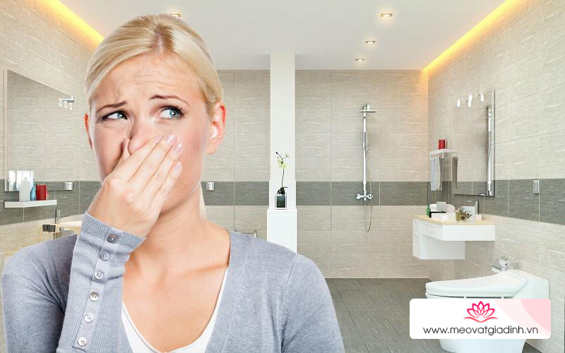 Cách xử lý mùi hôi cống trong nhà vệ sinh đơn giản mà cực hiệu quả