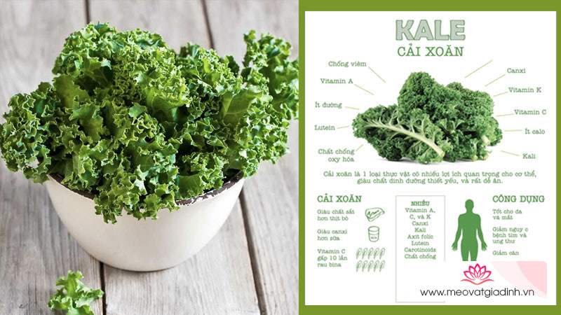Công dụng của cải kale