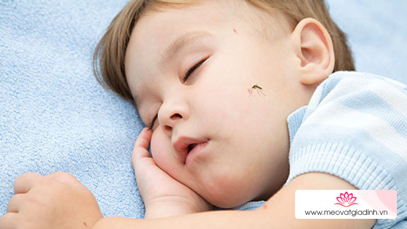 Có nên dùng thuốc chống muỗi đốt cho trẻ không?