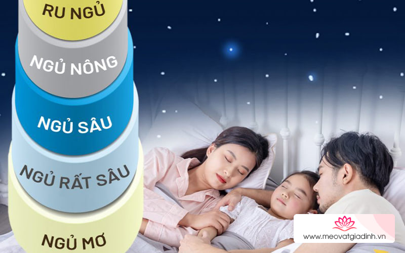 Những giai đoạn của giấc ngủ