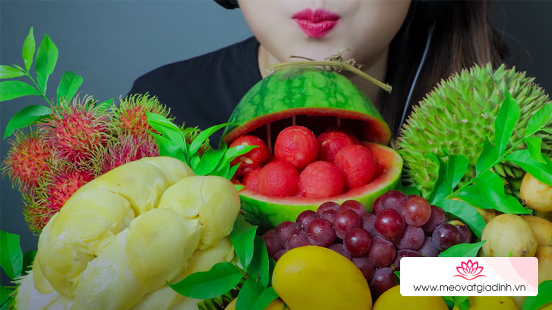 Video về các loại trái cây