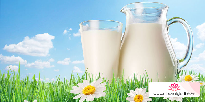 Mẹo phục hồi khả năng chống dính của chảo bằng sữa tươi