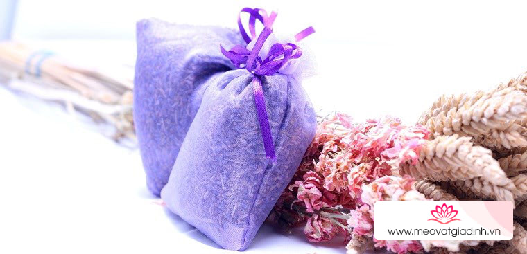 Những công dụng tuyệt vời của túi thơm hoa oải hương