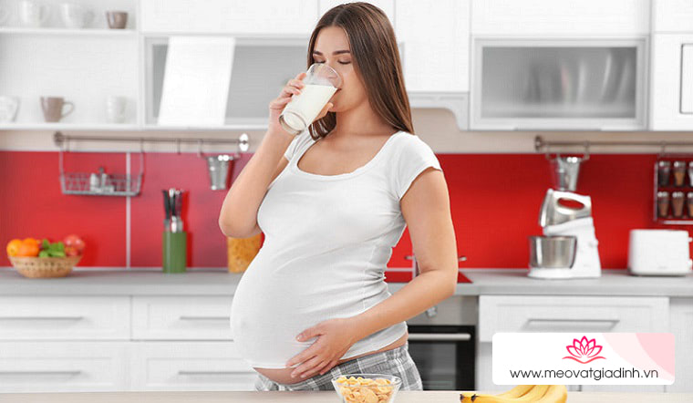 Những hiểu lầm cần tránh về sữa bầu mà mẹ bầu thường mắc phải