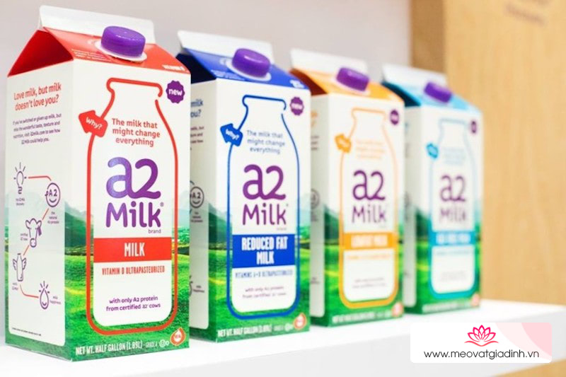 Sữa A2 là gì? Vì sao sữa A2 lại mắc hơn những loại sữa tươi thông thường khác?