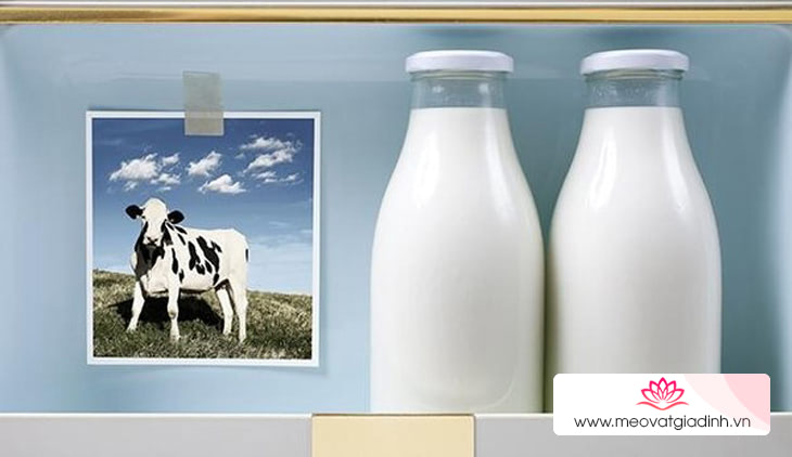 Sữa tươi hay sữa công thức tốt hơn?