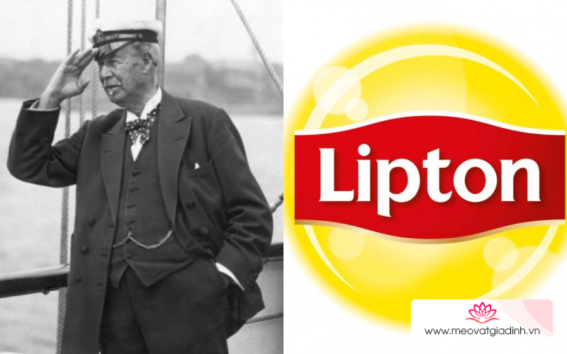 Thương hiệu Lipton, những loại sản phẩm Liptop hiện nay