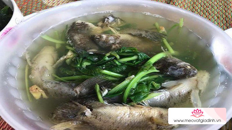 Canh cá rô đồng