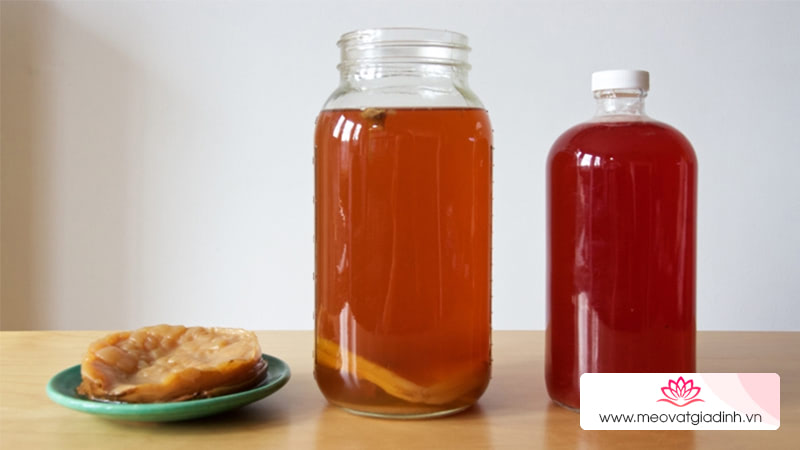 Vận chuyển kombucha như thế nào?