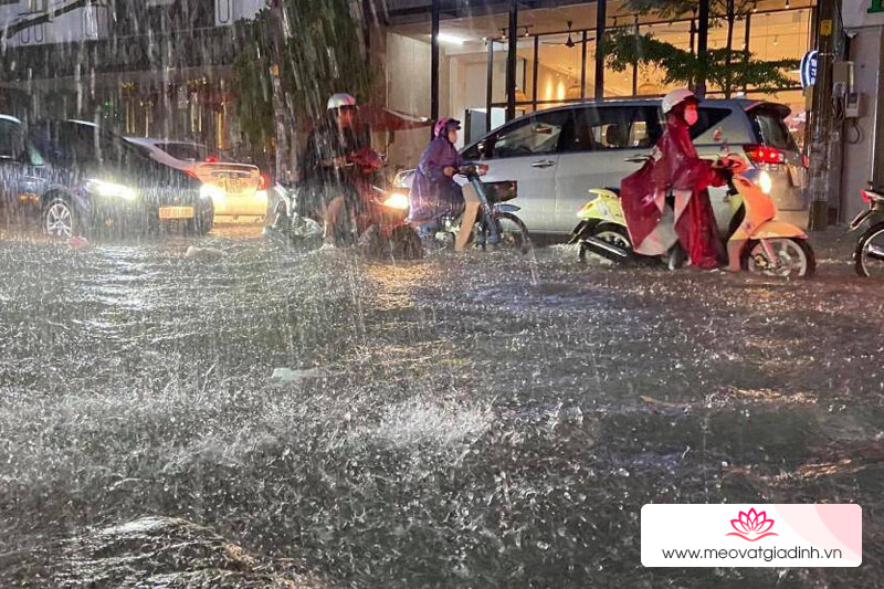 Chiều tối nay TP. Hồ Chí Minh và các tỉnh nam bộ tiếp tực mưa lớn