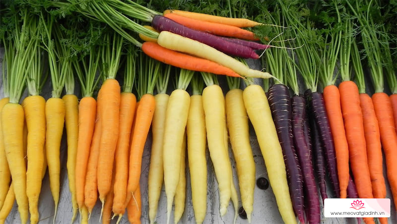 10 tác dụng của cà rốt, cách chọn mua và các món ăn hấp dẫn từ cà rốt