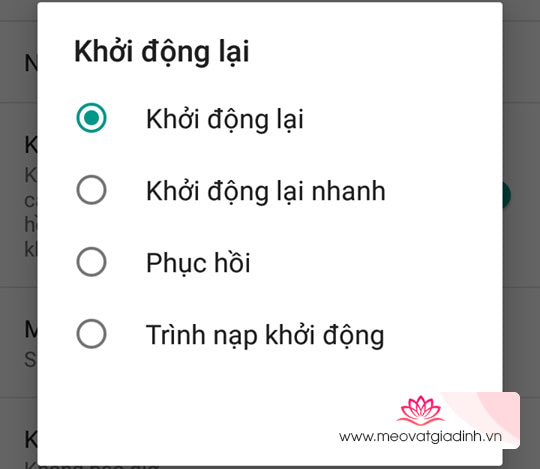 chế độ nhà phát triển 1