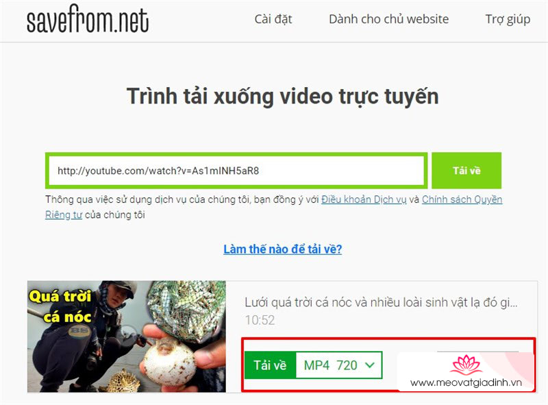 Trình tải video YouTube trên Savefrom