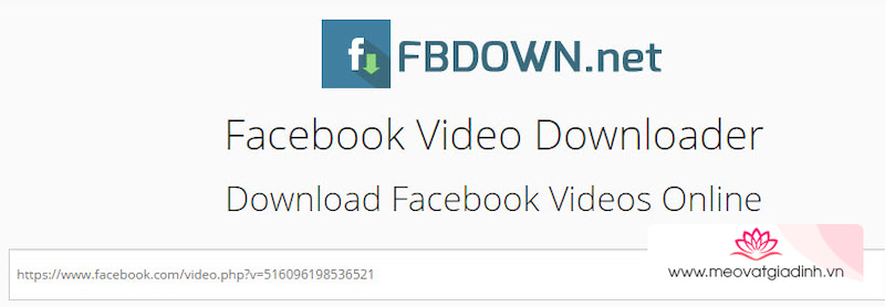 Fbdown.net