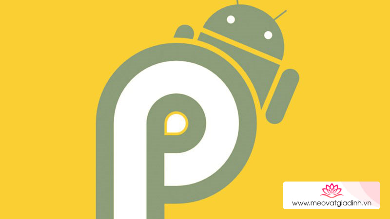 Khám phá 4 tính năng thú vị ẩn trong Android P