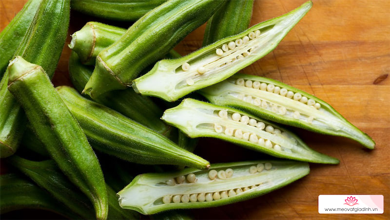 5 tác dụng của đậu bắp đối với sức khỏe và các món ăn ngon từ đậu bắp
