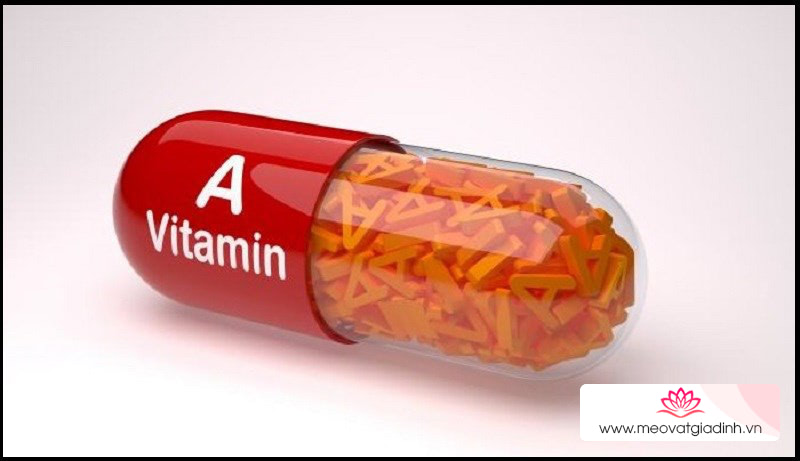 Sử dụng vitamin A dạng bào chế