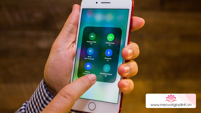 Những lưu ý khi chọn iPhone cũ- Những điều cần kiểm tra