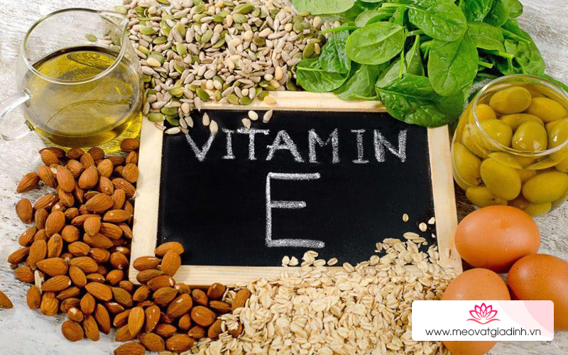 vitamin E là chất chống oxy hóa