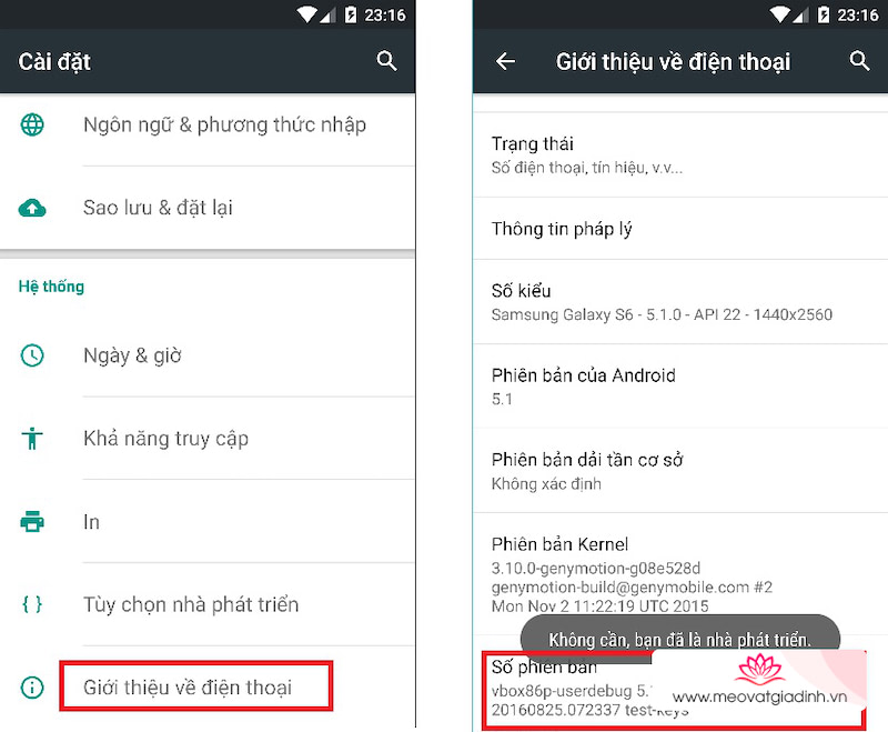 Cách cài đặt themes 