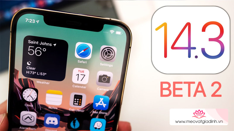 Cách cập nhật iOS 14.3 Beta 2 chính thức không cần Profile Developer