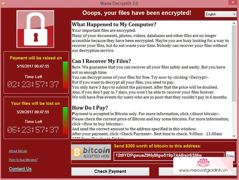 wannacry_800x602