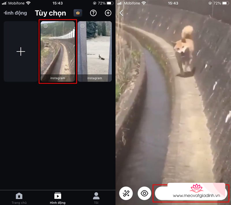 Cach-cai-video-Instagram-TikTok-lam-hinh-nen-dien-thoai