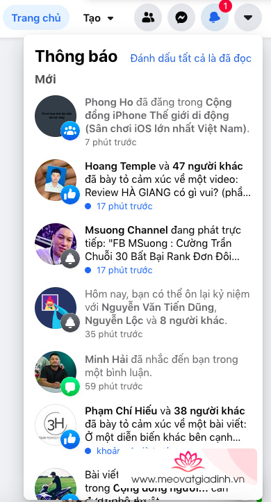 facebook beta