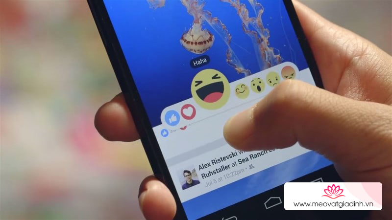 Cách xài Facebook chặn quảng cáo, tải video story, có cả darkmode không nên bỏ lỡ