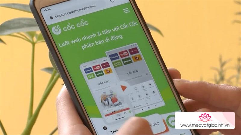 Cốc Cốc 