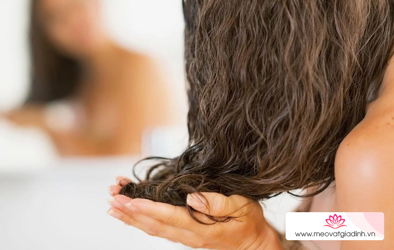 Cách sử dụng dầu hướng dương và một số lưu ý đối với tóc