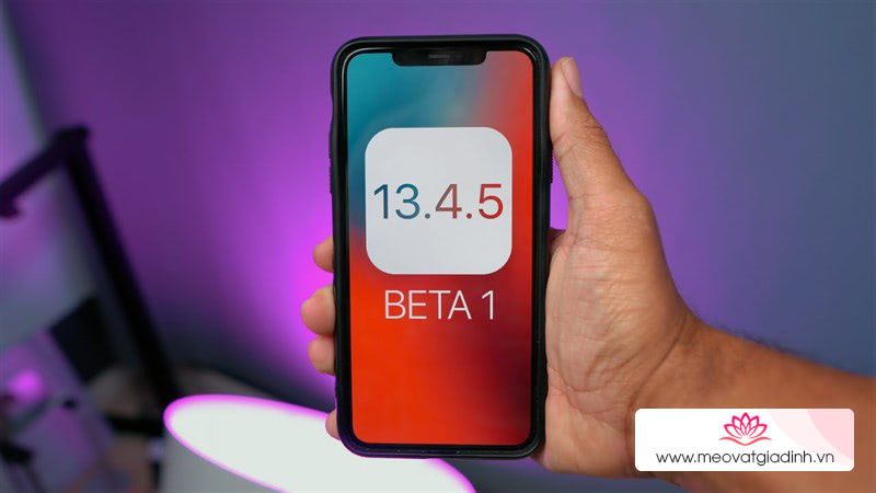 iOS 13.4.5 beta