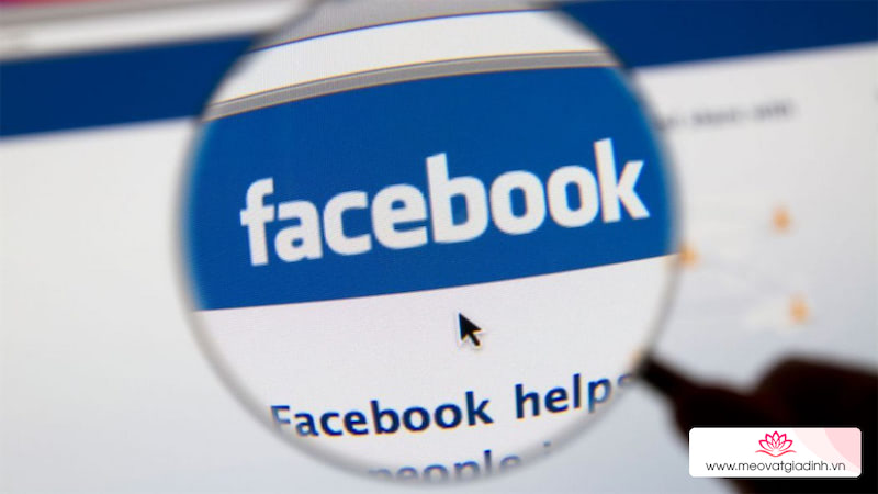 Không còn lo bị virus “tấn công” Facebook với các bước đơn giản sau