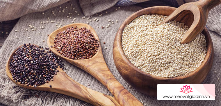 Hạt Quinoa là gì? Công dụng và 3 cách nấu hạt Quinoa mà bạn chưa biết