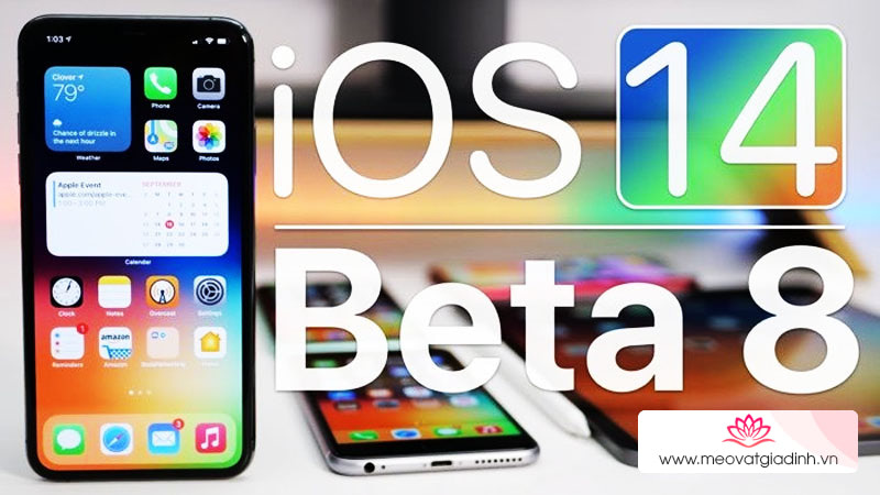 Hướng dẫn cách cập nhật lên iOS 14 Beta 8 với nhiều tính năng mới hấp dẫn