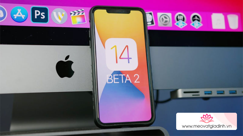 Cach-cap-nhat-ios-14-beta2