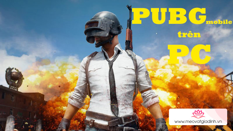 chơi pubg trên pc