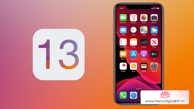 iOS 13