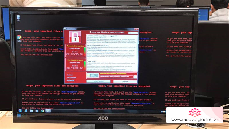 wannacry