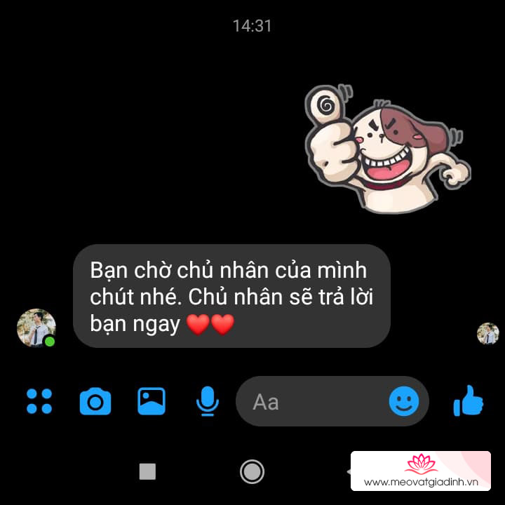 Tạo chatbot Facebook