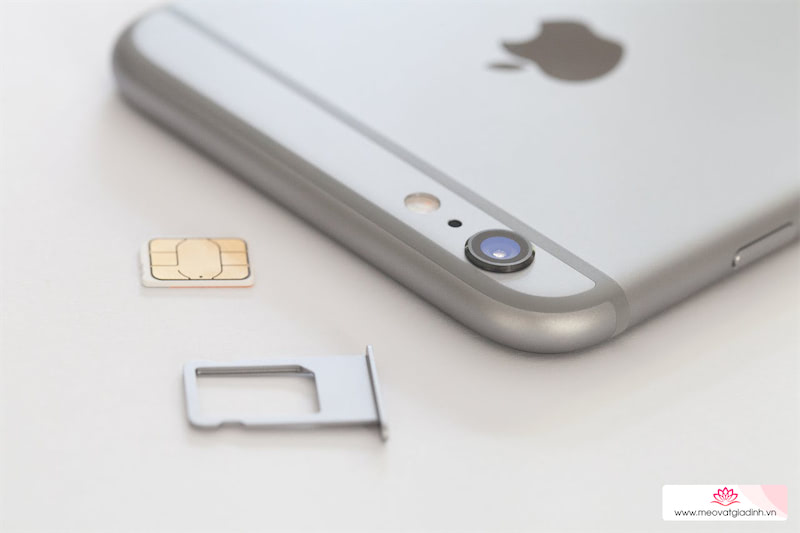 iPhone không nhận sim