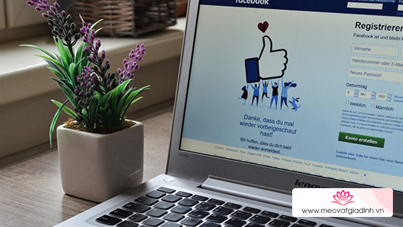 Mẹo chặn seen và hẹn giờ gửi tin nhắn trên Facebook với công cụ MonokaiToolkit